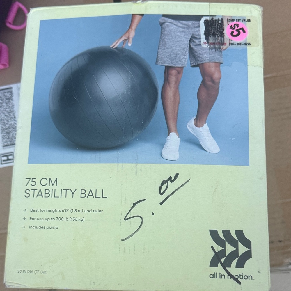 All in Motion Black Stability Ball